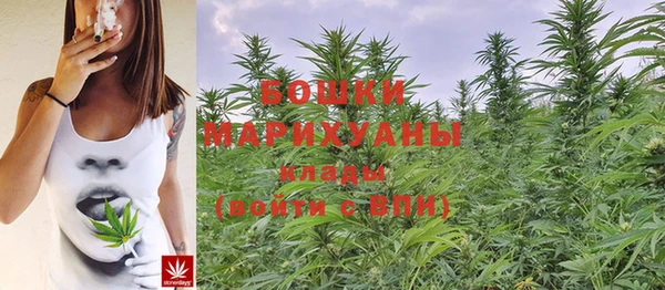 МДМА Медвежьегорск