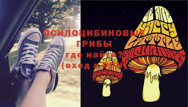 МДМА Медвежьегорск