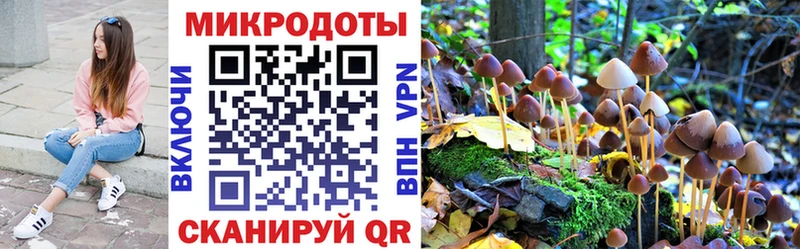 Псилоцибиновые грибы Magic Shrooms  Нытва 